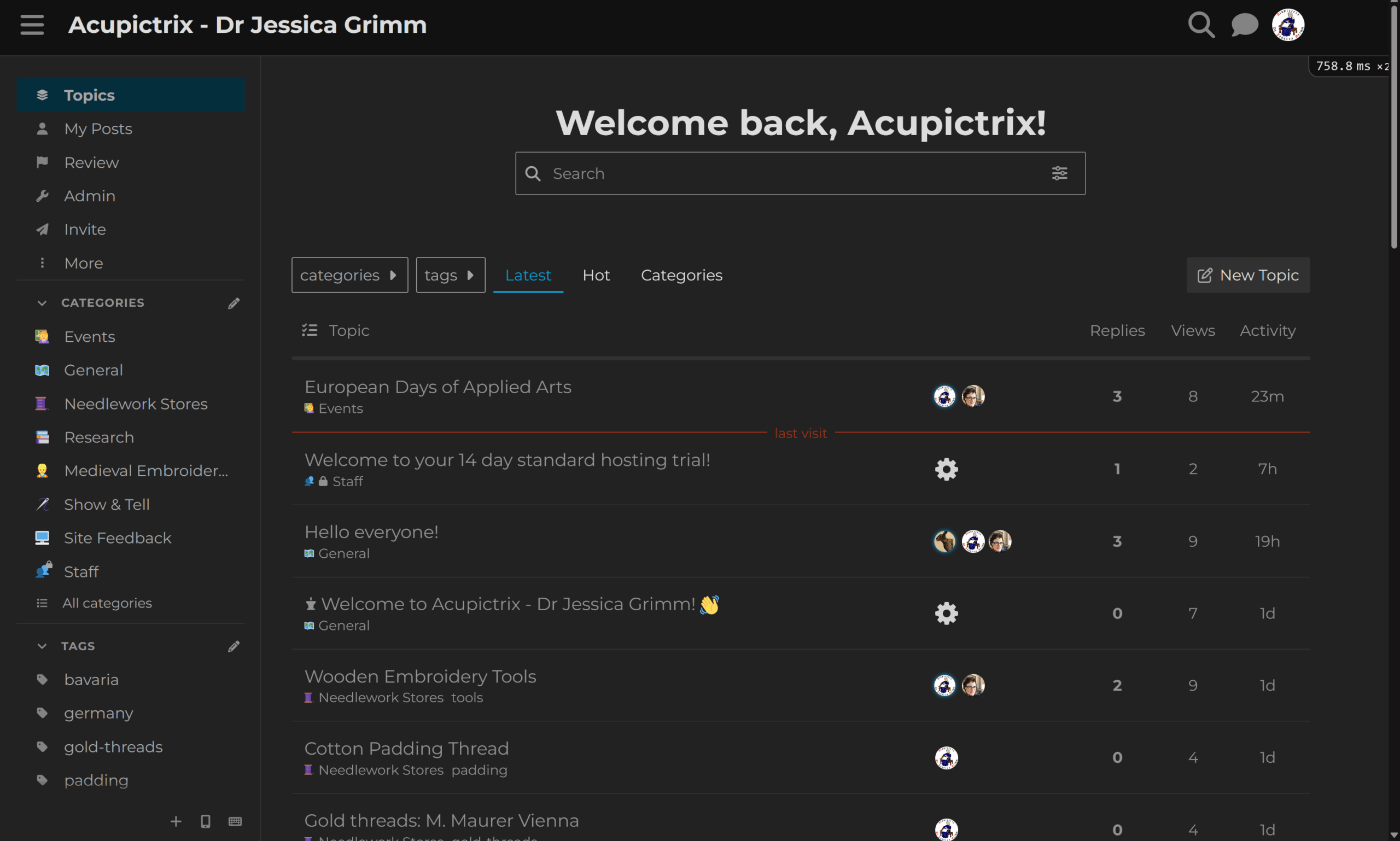 Historical Embroidery . Screenshot Acupictrix Discourse Forum