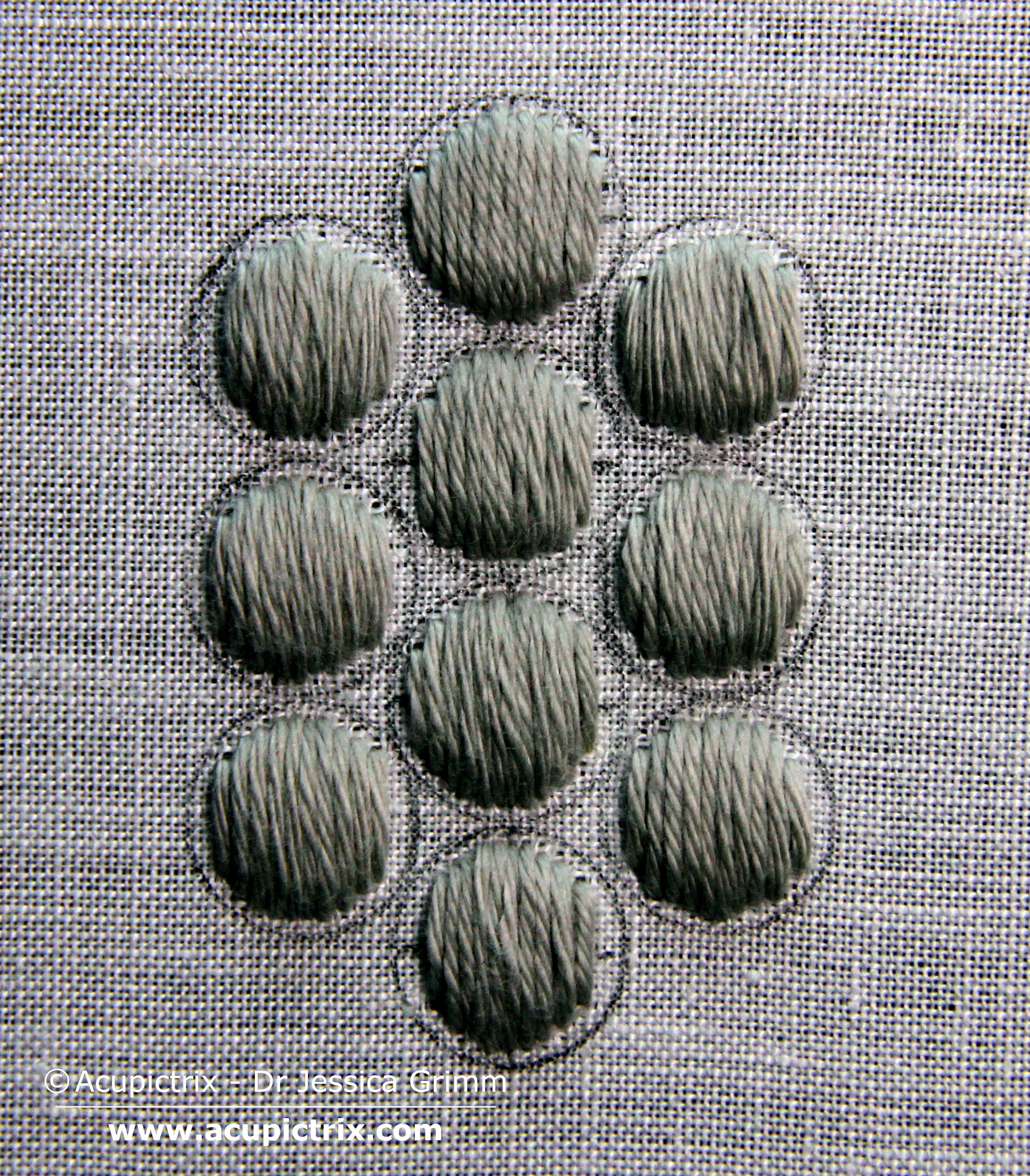 Embroidery tutorial padded silk shaded grapes with golden highlights